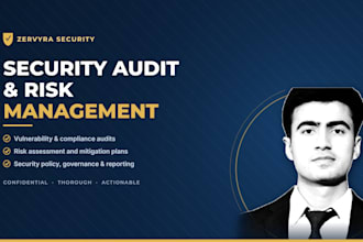 provide security audit and risk management services