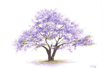 paint a tree in watercolour or pencil color