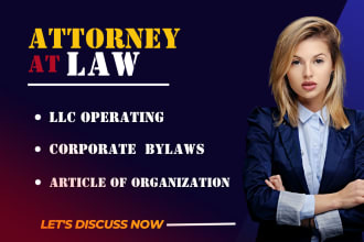 create operating agreement,bylaws,  formation docs