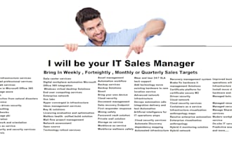 be your IT sales manager and solution consultant