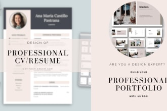 create a professional aesthetic cv resume and portfolio
