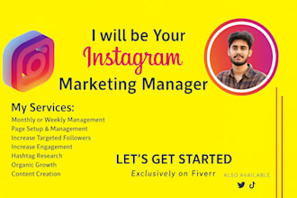 be your instagram organic growth and marketing manager