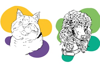 draw minimalist line art illustration pets