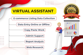 do ecommerce data entry, data collection, data cleaning and data analysis expert