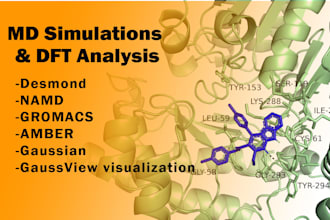 do docking simulations and dft analysis