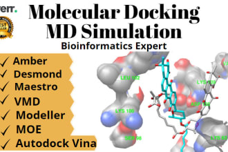 do molecular docking and MD simulation