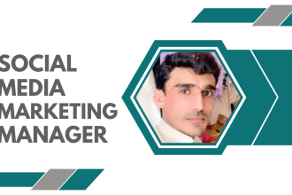 create marketing plan, craft digital marketing strategy for your brand