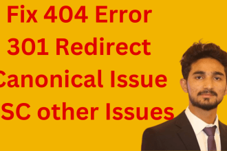 solve your 404 error, 301, canonical issue and gsc issues