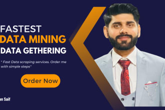 fast and accurate data scraping, data mining, and web extraction services