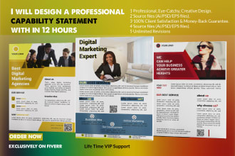 design a professional, creative, business and effective capability statement