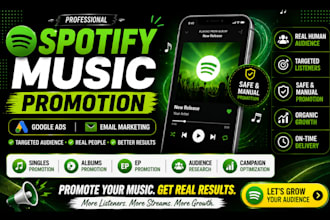 professional spotify music promotion with targeted ads