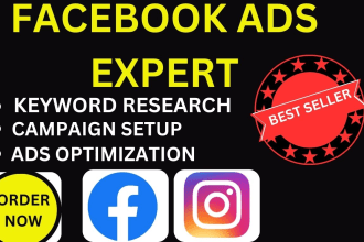set up leads and sales campaigns for facebook ads