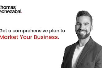 craft a detailed marketing plan for your product or company