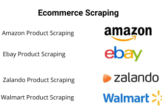 provide ecommerce scraping from amazon, zalando, ebay or any ecommerce website
