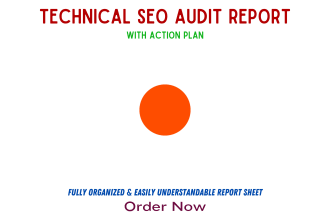 do website technical seo audit and provide full audit report with action plan