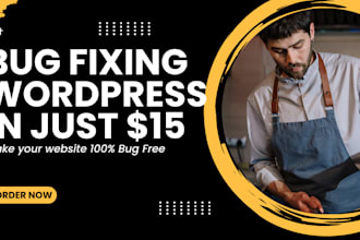 your wordpress expert fixing wordpress bugs