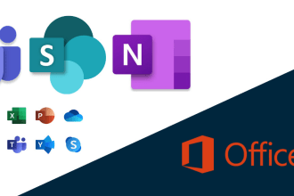 set up and support microsoft office 365, exchange online, sharepoint, teams