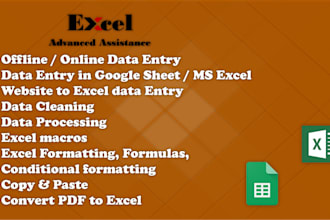 do advanced assistance on excel data entry and processing