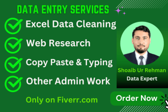 do excel data entry, formula, google sheets, web research, csv, typing