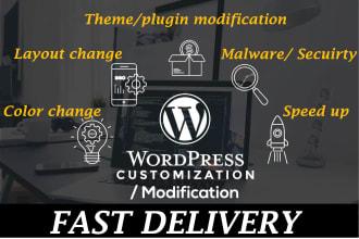 do any wordpress customization,color change just in 24 hours
