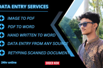 do data entry, copy pest, retyping, any file converting