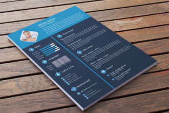 provide professional resume writing CV and cover letter
