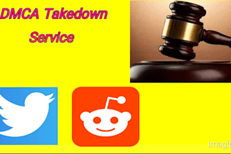 report from twitter,reddit under dmca