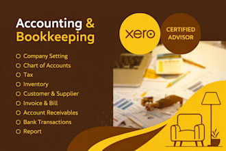 do bookkeeping and accounting expert services in xero