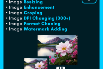 resize, crop, enhance quality with precision
