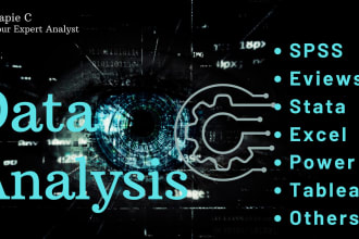 do excel, spss, stata, eviews, tableau, and power bi data analysis