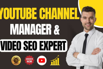 be your youtube channel manager and video seo expert