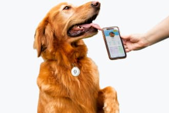 photograph your pet product with my dog