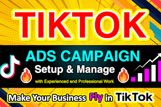 setup, manage and run tiktok ads campaign, tik tok ads, tiktok advertising