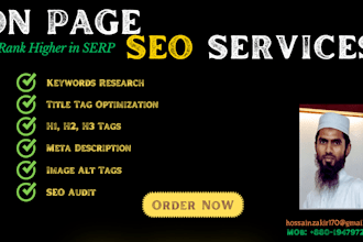 provide on page SEO services for your website