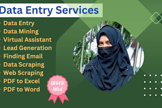 do fastest data entry, b2b lead generation and copy paste job