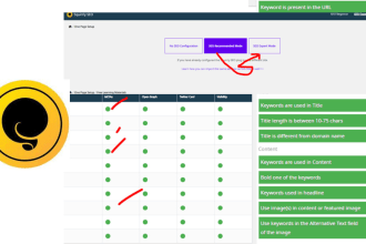 do wordpress onpage seo with squirrly plugin