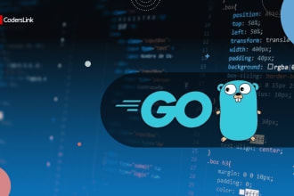 do golang development for fast and reliable web app