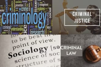 lead in criminology criminal justice criminal law sociology