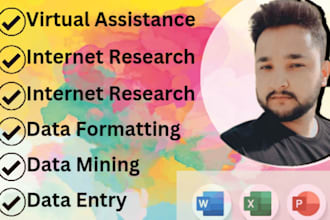 do professional data entry work