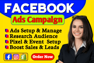 setup facebook ads campaign, run instagram ads and shopify fb advertising