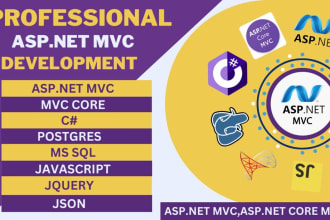 provide professional asp net mvc web development services