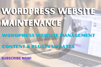 do wordpress website maintenance