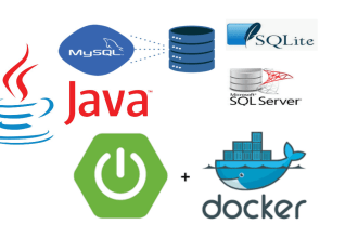 develop java rest API with java spring boot for your java application