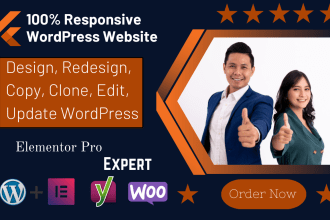 design, redesign, copy, clone, edit, update, wordpress website
