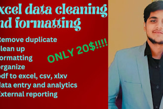 do data sorting filter pivot tables  graph and organize you excel or CSV