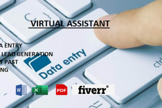 do excel data entry, data collection, copy paste, typing, email search for you