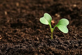 write top notch SEO content about plants, landscaping and gardening