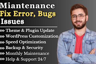 do professional wordpress maintenance, website updates, and support