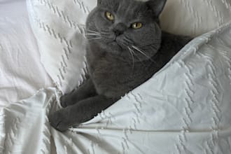 shoot product photos and videos with my cat