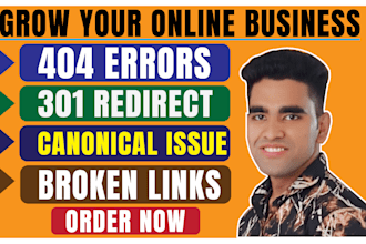 fix 404 errors, 301 redirects, canonical url, broken links, indexing issues